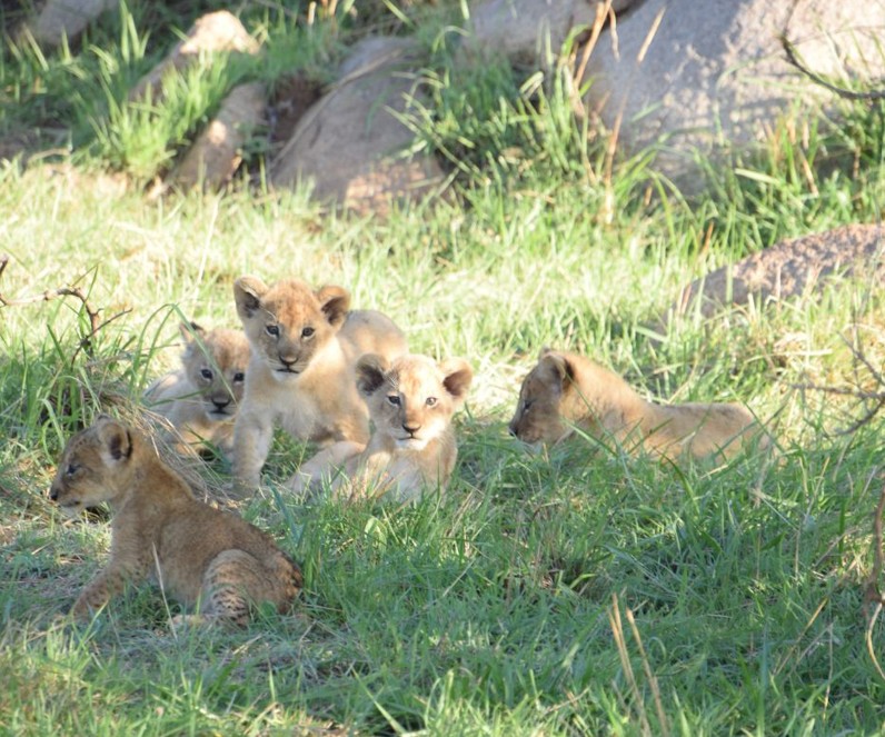 Tanzania and specifically the Serengeti, wow!